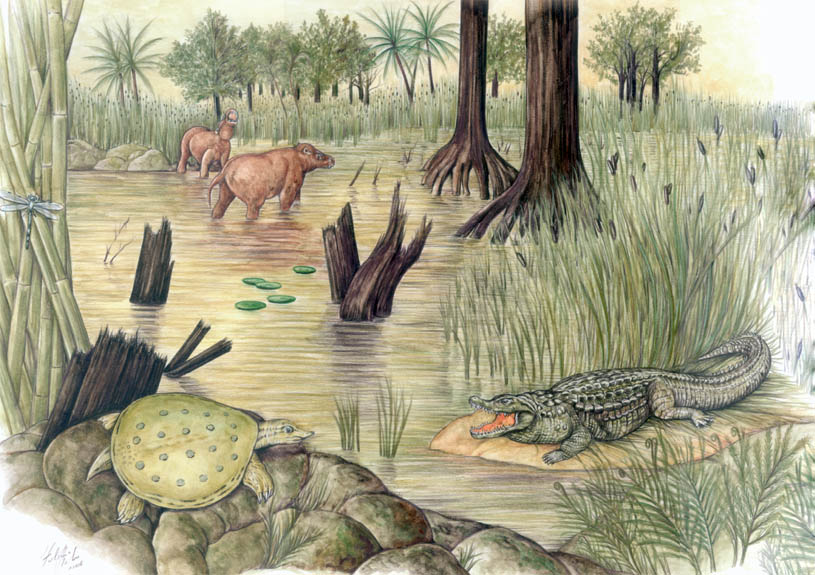Anthracotherium